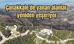Çanakkale'de yanan alanlar yeniden yeşeriyor