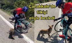 Çanakkale’de tilkiyi eliyle besledi (VİDEO)
