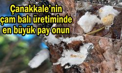 Çanakkale’nin çam balı üretiminde en büyük pay onun