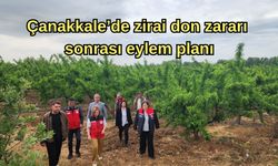 Çanakkale’de zirai don zararı sonrası eylem planı