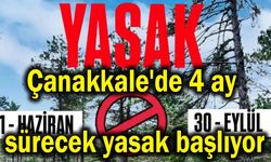 Çanakkale’de 4 ay sürecek yasak başlıyor