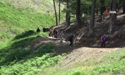 Çanakkale AFAD İl Müdürü Artun'dan son dakika açıklaması