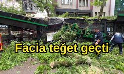 Facia teğet geçti