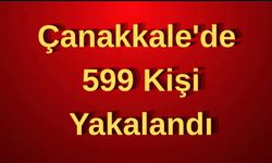 Çanakkale'de 599 kişi yakalandı