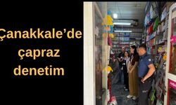 Çanakkale’de çapraz denetimler yapılıyor