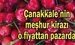Çanakkale’nin meşhur kirazı o fiyattan pazarda