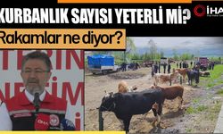 Kurbanlık hayvan sayısındaki artış yeterli mi? (Video)