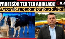 Kurbanlık seçerken bunlara dikkat! (Video)