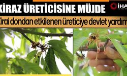Zirai dondan etkilenen üreticiye devlet yardımı (Video)