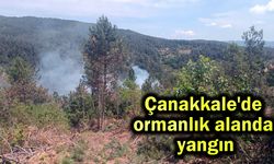 Çanakkale'de ormanlık alanda yangın