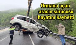 Ormana uçan aracın sürücüsü hayatını kaybetti (Video)