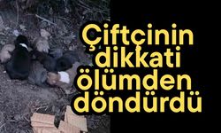 Çiftçinin dikkati ölümden döndürdü