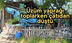 Üzüm yaprağı toplarken çatıdan düştü