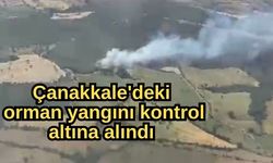 Çanakkale'deki orman yangını kontrol altına alındı
