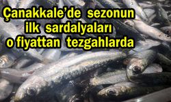Çanakkale’de sezonun ilk sardalyaları o fiyattan tezgahlarda