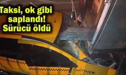 Taksi, ok gibi saplandı! Sürücü öldü
