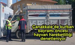 Çanakkale’de kurban bayramı öncesi hayvan hareketliliği denetleniyor