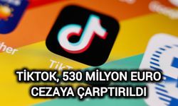 TikTok, 530 milyon euro cezaya çarptırıldı