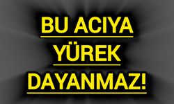 Bu acıya yürek dayanmaz