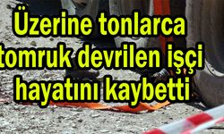 Üzerine tonlarca tomruk devrilen işçi hayatını kaybetti