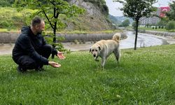 Bankada mahsur kalan köpek alarm sistemini devreye soktu