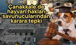 Çanakkale’de hayvan hakları savunucularından karara tepki