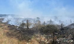 Yenice'de çöplük yangını