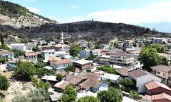 Zümrüt yeşili orman manzaraları kömürlüğe döndü (Video)