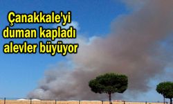 Çanakkale'yi duman kapladı, alevler büyüyor
