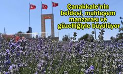Çanakkale’nin beldesi, manzarası ve güzelliğiyle büyülüyor