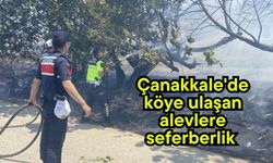 Çanakkale'de köye ulaşan alevlere seferberlik (Video)