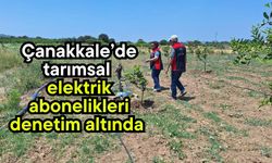 Çanakkale’de tarımsal elektrik abonelikleri denetim altında