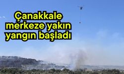 Çanakkale merkeze yakın yangın başladı (Video)