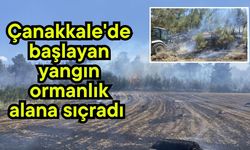 Çanakkale'de başlayan yangın ormanlık alana sıçradı (Video)