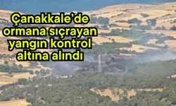 Çanakkale’de ormana sıçrayan yangın kontrol altına alındı