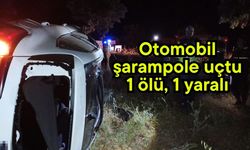 Otomobil şarampole uçtu 1 ölü, 1 yaralı