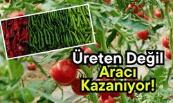 Üreten değil, aracı kazanıyor!