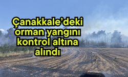 Çanakkale’deki orman yangını kontrol altına alındı