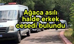 Ağaca asılı halde erkek cesedi bulundu