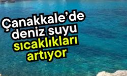 Çanakkale’de deniz suyu sıcaklıkları artıyor