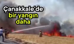 Çanakkale'de bir yangın daha (Video)