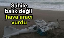 Sahile balık değil, hava aracı vurdu