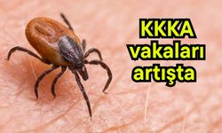 KKKA vakaları artışta