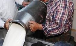 Ticari süt işletmelerince 981 bin 10 ton inek sütü toplandı