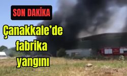 Çanakkale’de fabrikada yangın (Video)