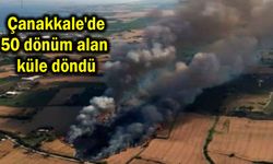 Çanakkale'de 50 dönüm alan küle döndü