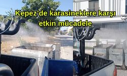 Kepez’de karasineklere karşı etkin mücadele başladı