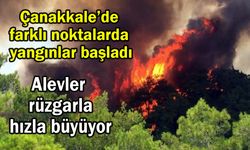 Çanakkale’de farklı noktalarda yangınlar başladı