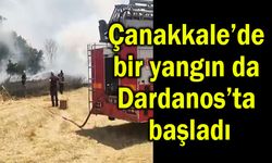 Çanakkale’de bir yangın da Dardanos’ta başladı