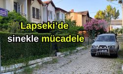 Lapseki’de sinekle mücadele